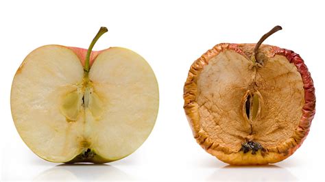 Регулярный осмотр яблок на признаки потемнения и следов порчи