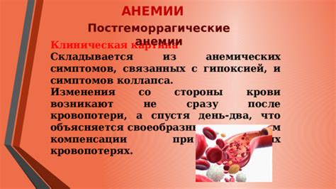 Рекомендации по поддержанию здоровой крови и профилактике анемических состояний