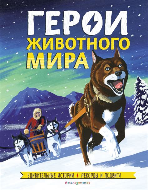 Рекорды и подвиги