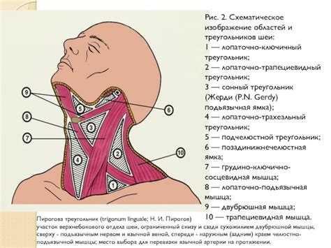 Религиозные коннотации символа двух треугольников на области шеи