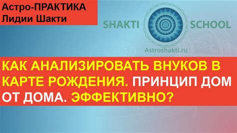 Ретроспективный выявитель пола природного рождения: принцип и механизм работы