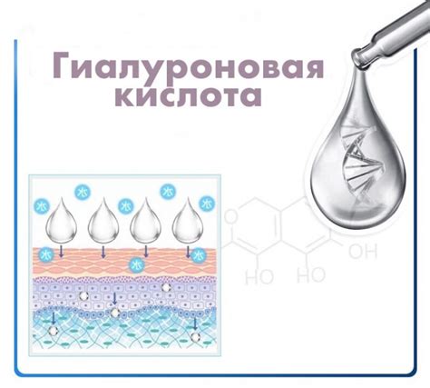 Ролевая значимость гиалуроновой кислоты в эстетическом окружении