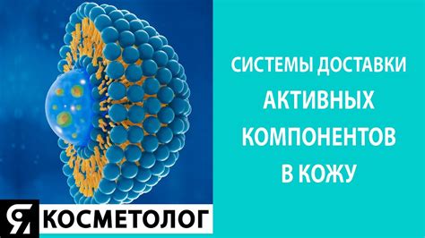 Роль активных компонентов при наступлении токсического состояния