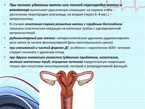 Роль аномалий развития органов малого таза в возникновении инволютивных изменений