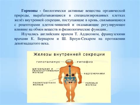 Роль жидкостей в организме и их влияние на возникновение звона в ушах и ощущение тошноты