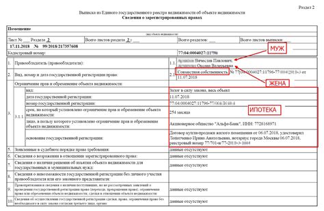 Роль записи в ЕГРН в получении информации о компании и ее внешний вид