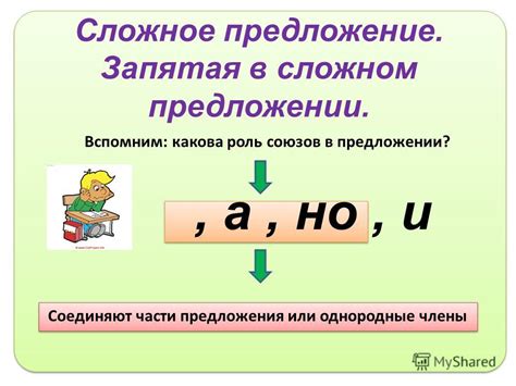 Роль запятой перед "несмотря" в предложении