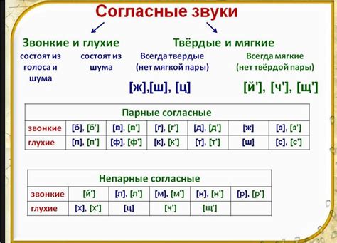 Роль звонких согласных в фонетике и их особенности