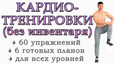 Роль кардио-тренировок в процессе обжигания жировых отложений