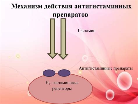 Роль компонентов в составе препаратов престариума А и престариума и их воздействие на организм