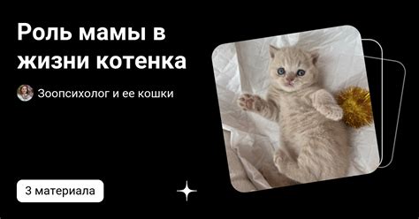 Роль кошки и котенка в символике снов