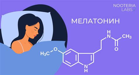 Роль мелатонина в функционировании организма