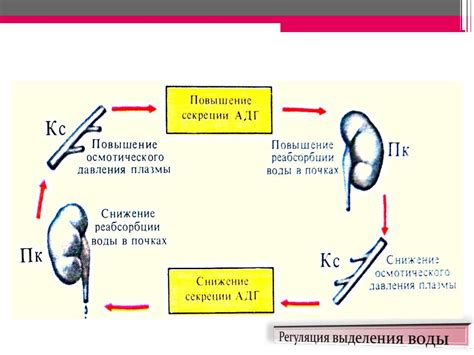 Роль охранного механизма Атлантического теплового потока в поддержании равновесия климата