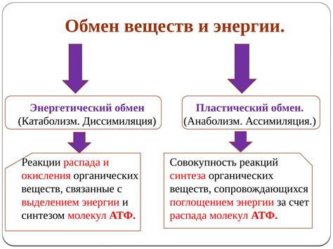 Роль питательных веществ