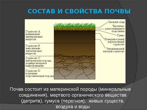 Роль послефитофторной обработки почвы и ее влияние на здоровье растений