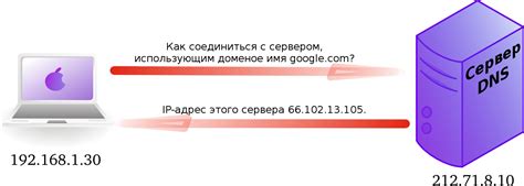 Роль реверс-поиска в определении доменного имени по IP-адресу