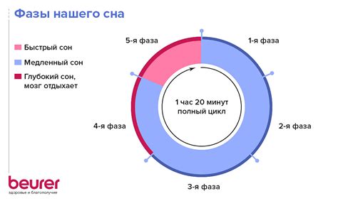 Роль сна в процессе снижения объемов талии и боковой области