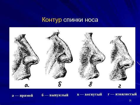 Роль физического облика носа в общем внешнем виде лица