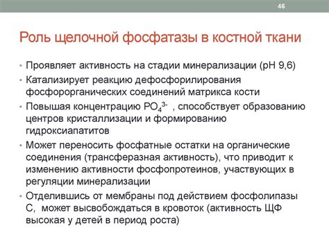 Роль щелочной фосфатазы в поддержании здоровья костной и печеночной систем