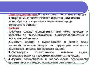 Роль экологии в сохранении баланса природы и разнообразия живых организмов