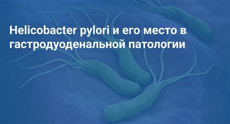 Роль Helicobacter pylori в патологии желудочно-кишечной системы