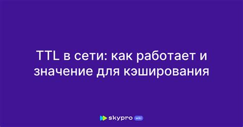 Роль TTL в функционировании сети и его значение для мобильных устройств бренда Honor