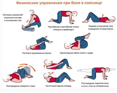Самомассаж спины: эффективные упражнения и методы