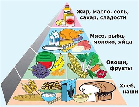 Сбалансированное питание для укрощения животного объема