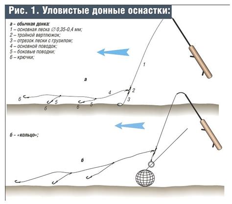 Сборка и сбалансировка состава для донной ловли: главные этапы и секреты успеха