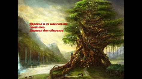 Свойства деревьев, соответствующие каждому астрологическому знаку