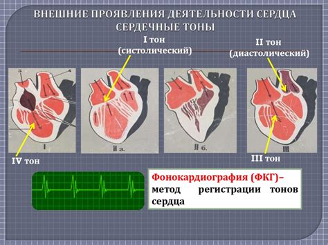 Сердечные проявления