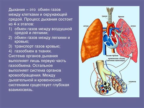 Симптомы наличия секреторной патологии в дыхательной системе