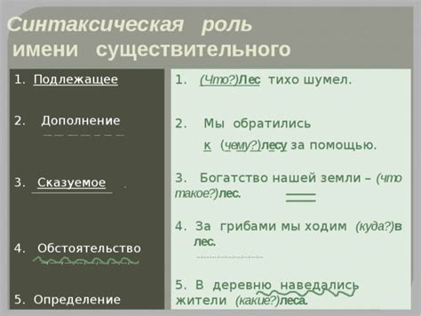 Синтаксическая роль нескольких в предложении