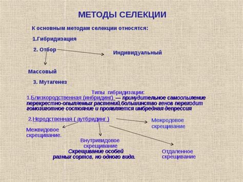 Следуйте основным этапам гибридизации