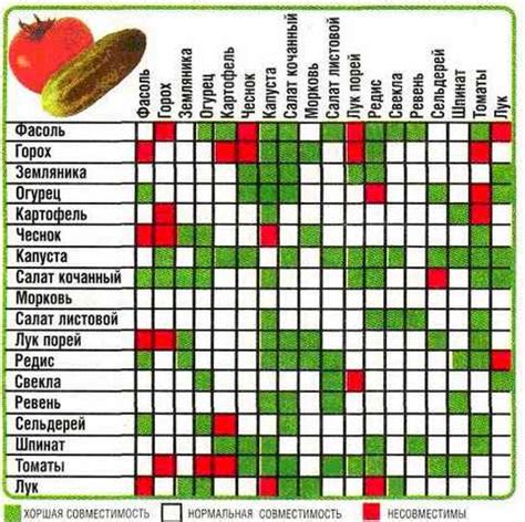 Совместимость различных культурных растений с картофелем
