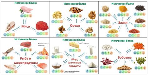 Содержание полезных веществ