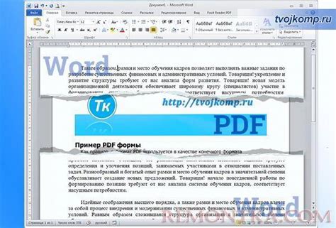 Содержимое файла PDF: разнообразие атрибутов и их значение