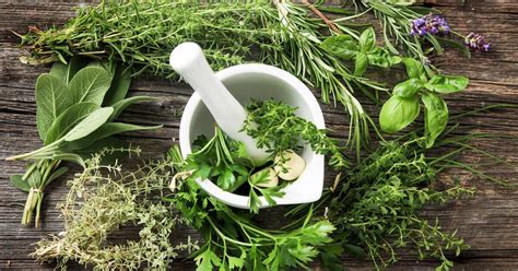 Создайте неповторимый аромат и вкус с помощью ароматных трав и специй