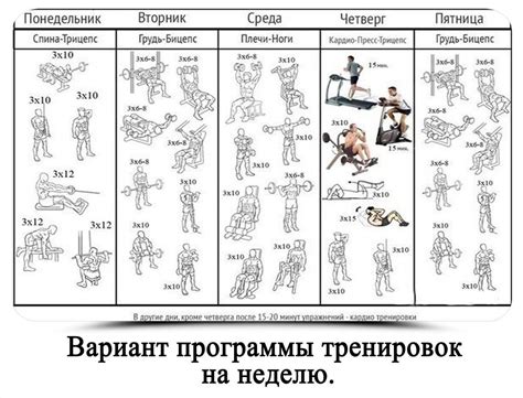 Создание индивидуального плана тренировок для поддержания физической формы