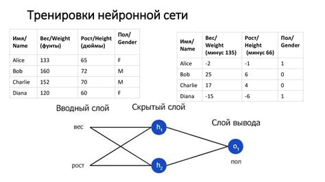 Создание нейронных сетей на языке программирования Python для развития искусственного понимания