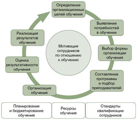 Создание системы обучения и развития сотрудников