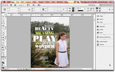Создание содержимого электронной книги с помощью программы Adobe InDesign