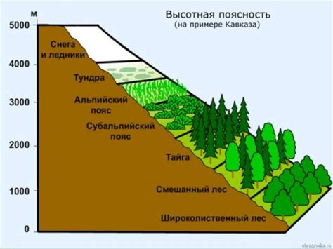 Создание экологических зон и заповедников на прибрежной линии моря