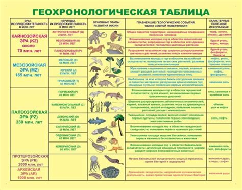 Соответствие развития организмов