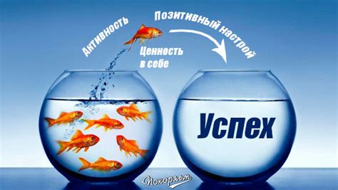 Составляющие успеха: необходимые компоненты для высушивающего эффекта