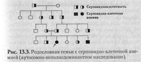 Сотрудничество с генеалогическими сообществами и экспертами в области родословной и генеалогии