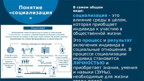 Социализация и обучение: необходимые знания для владельца