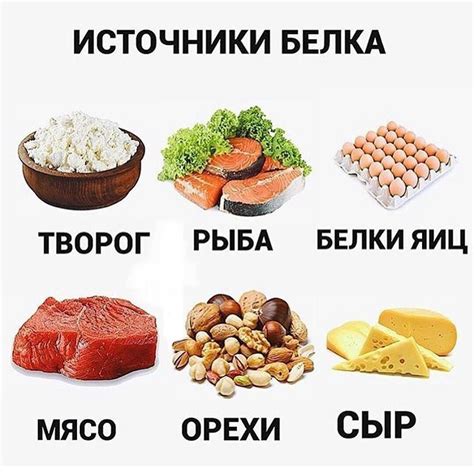 Список низкожирных продуктов с высоким содержанием белка для успешного похудения