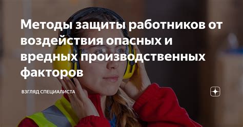 Способы обеспечения защиты гортензии от воздействия погодных факторов