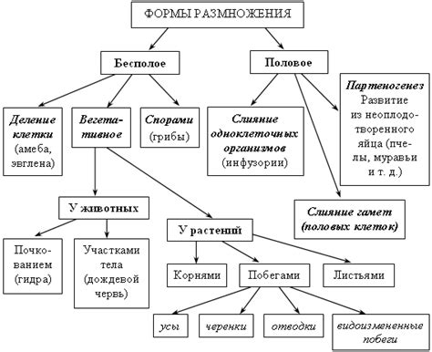 Способы поклонения и их многообразие